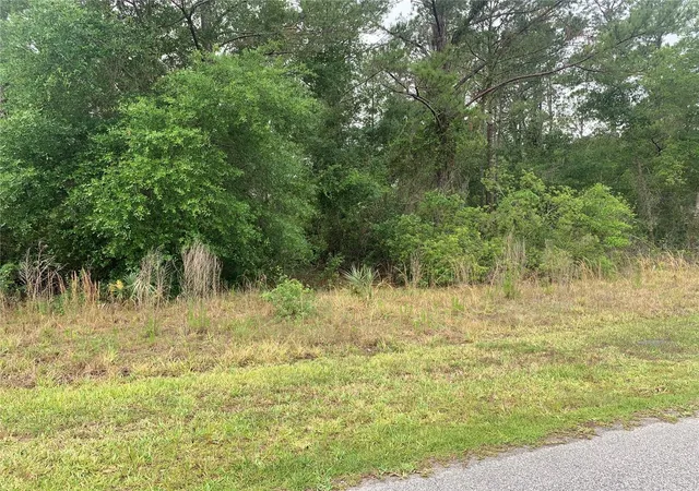 Photo 2 of Land for sale at 525 Live Oak Loop, Crescent City, FL 32112 | MLS# V4942692 | Listing updated on 2026-08-13
