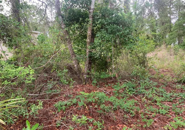 Photo 3 of Land for sale at 525 Live Oak Loop, Crescent City, FL 32112 | MLS# V4942692 | Listing updated on 2026-08-13