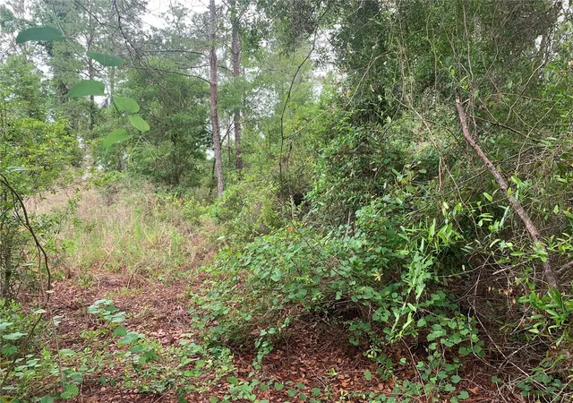 Photo 3 of Land for sale at 525 Live Oak Loop, Crescent City, FL 32112 | MLS# V4942692 | Listing updated on 2026-08-13