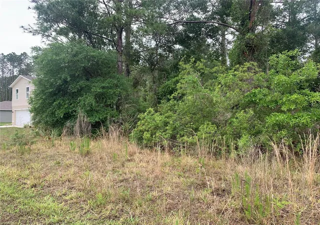 Photo 4 of Land for sale at 525 Live Oak Loop, Crescent City, FL 32112 | MLS# V4942692 | Listing updated on 2026-08-13