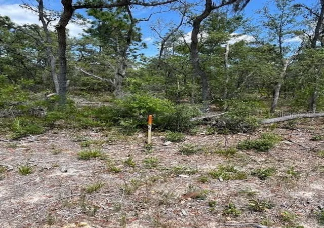 Photo 1 of Land for sale at Tbd Sw 57th Avenue #46 & 47, Interlachen, FL 32148 | MLS# OM701468 | Listing updated on 2026-04-30