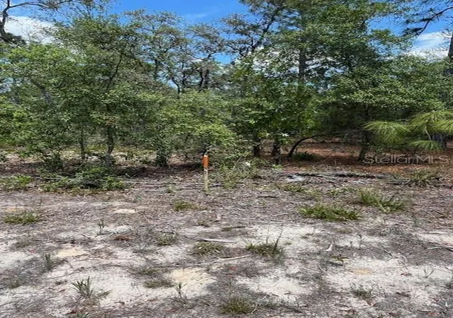 Photo 2 of Land for sale at Tbd Sw 57th Avenue #46 & 47, Interlachen, FL 32148 | MLS# OM701468 | Listing updated on 2026-04-30
