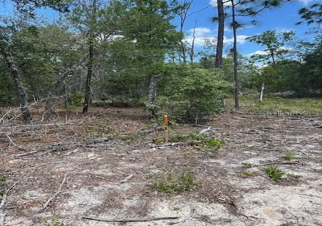 Photo 1 of Land for sale at Tbd Sw 57th Avenue #48 & 49, Interlachen, FL 32148 | MLS# OM701479 | Listing updated on 2026-04-30