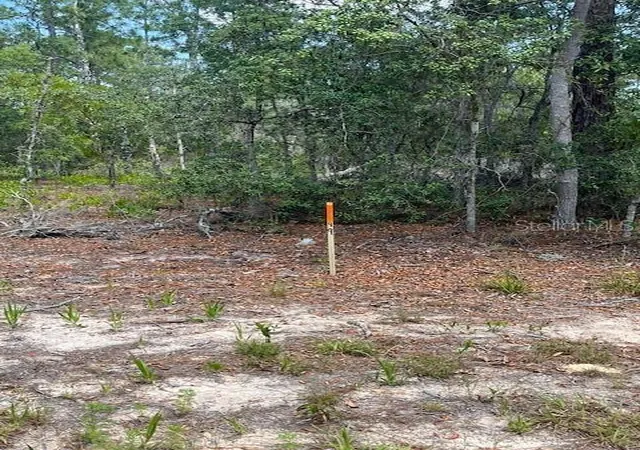 Photo 2 of Land for sale at Tbd Sw 57th Avenue #48 & 49, Interlachen, FL 32148 | MLS# OM701479 | Listing updated on 2026-04-30