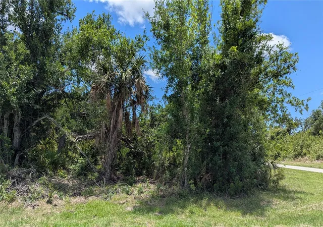 Photo 3 of Land for sale at 10017 Cocoa Beach St, Port Charlotte, FL 33981 | MLS# D6142345 | Listing updated on 2026-09-24