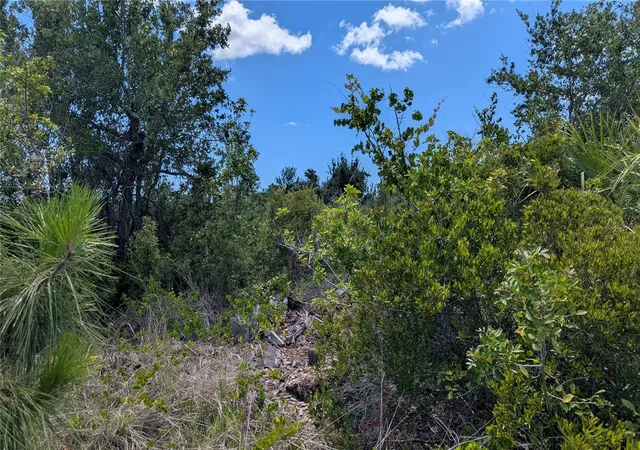 Photo 2 of Land for sale at 13493 Abutilon Ln, Port Charlotte, FL 33981 | MLS# D6142349 | Listing updated on 2026-09-24