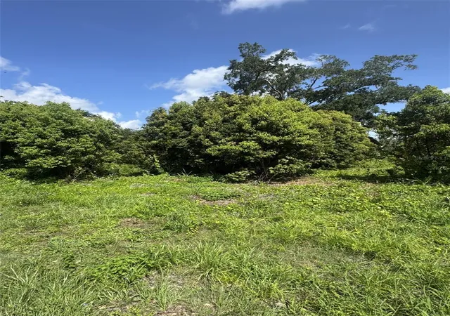 1st image of Paige Ave, New Smyrna Beach, FL 32168 | MLS# O6309410
