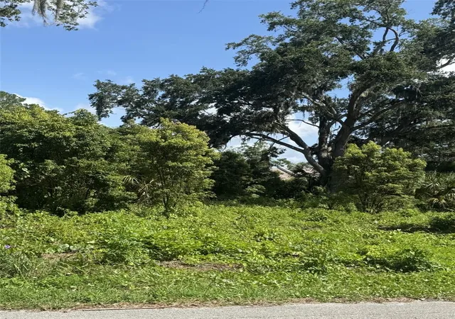 5th image of Paige Ave, New Smyrna Beach, FL 32168 | MLS# O6309410