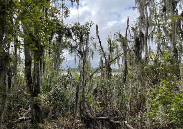 Photo 1 of Land for sale at 000 Se Hawthorne Rd, Hawthorne, FL 32640 | MLS# GC530946 | Listing updated on 2026-08-21
