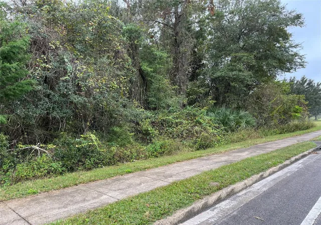 Photo 3 of Land for sale at 000 Se Hawthorne Rd, Hawthorne, FL 32640 | MLS# GC530946 | Listing updated on 2026-08-21