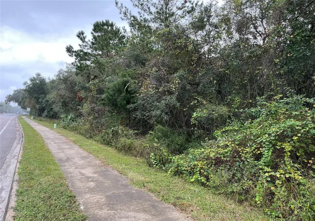 Photo 3 of Land for sale at 000 SE Hawthorne Rd, Hawthorne, FL 32640 | MLS# GC530946 | Listing updated on 2026-08-21