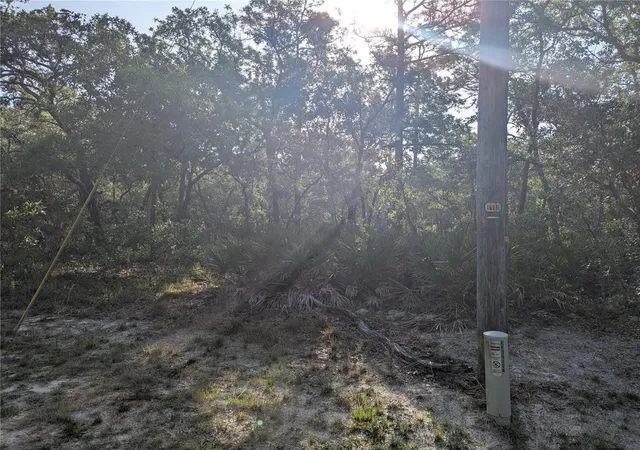 1st image of 19036 Retriever Rd, Weeki Wachee, FL 34614 | MLS# TB8387524