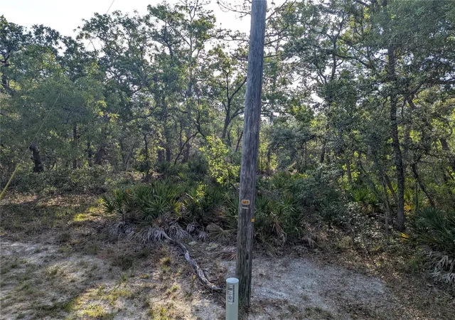 2nd image of 19036 Retriever Rd, Weeki Wachee, FL 34614 | MLS# TB8387524
