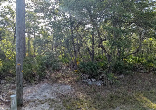 3rd image of 19036 Retriever Rd, Weeki Wachee, FL 34614 | MLS# TB8387524