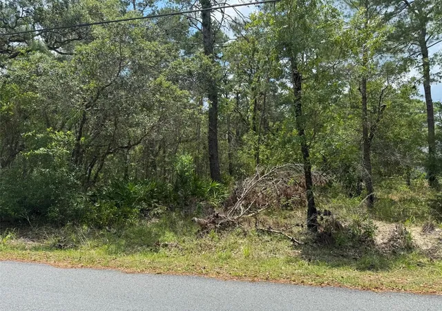 Photo 3 of Land for sale at Lot 62 Michigan Ave, Brooksville, FL 34613 | MLS# A4653077 | Listing updated on 2026-05-13
