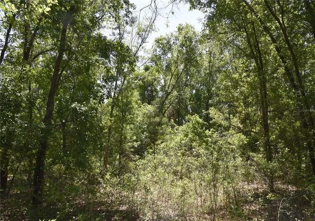 25th image of 21312 Ne 69th Pl, Melrose, FL 32666 | MLS# OM701974