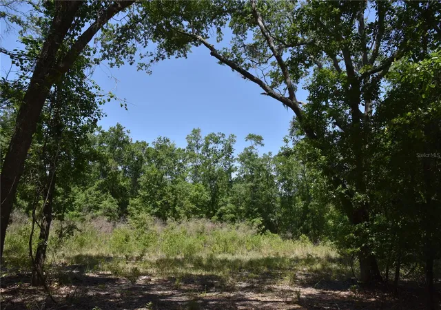 3rd image of 21312 Ne 69Th Pl, Melrose, FL 32666 | MLS# OM701974