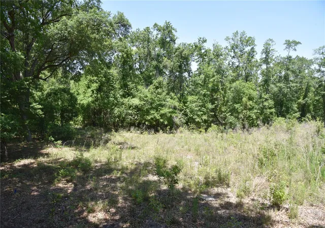 4th image of 21312 Ne 69Th Pl, Melrose, FL 32666 | MLS# OM701974