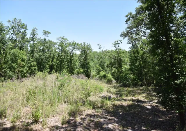 5th image of 21312 Ne 69Th Pl, Melrose, FL 32666 | MLS# OM701974
