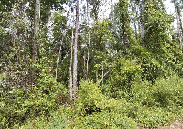 2nd image of James St, Astor, FL 32102 | MLS# O6311269