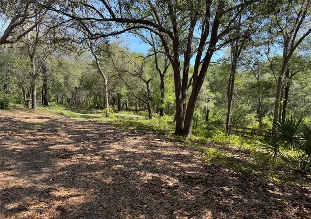5th image of 16137 Se 34Th Pl, Ocklawaha, FL 32179 | MLS# OM702143
