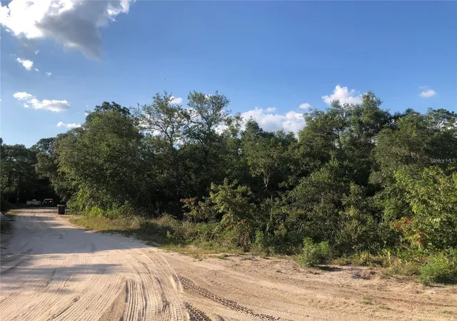 3rd image of 2610 N Rehrer Rd, Avon Park, FL 33825 | MLS# S5127478