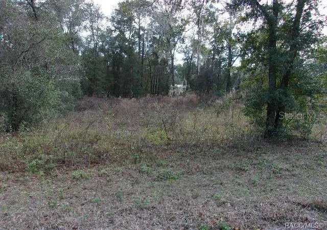 Photo 1 of Land for sale at 6700 E Haynes Ln, Inverness, FL 34452 | MLS# OM702337 | Listing updated on 2026-10-06