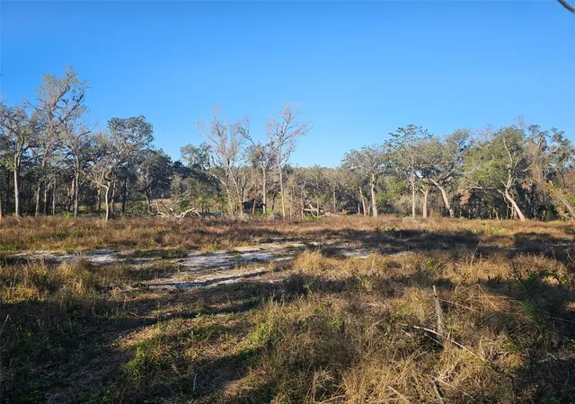 Photo 3 of Land for sale at 359 Savannah Oaks Dr, Brooksville, FL 34602 | MLS# TB8389997 | Listing updated on 2026-08-11