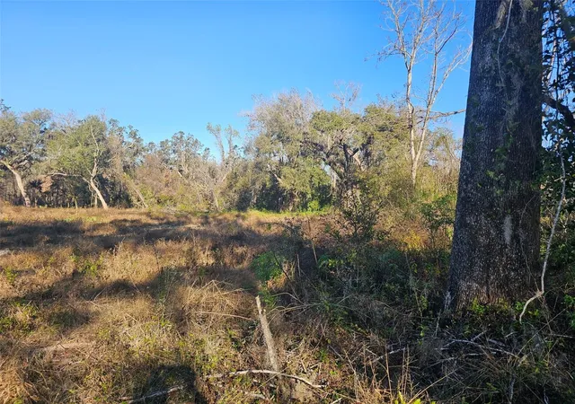 Photo 3 of Land for sale at 359 Savannah Oaks Dr, Brooksville, FL 34602 | MLS# TB8389997 | Listing updated on 2026-08-11