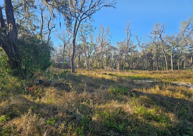 Photo 4 of Land for sale at 359 Savannah Oaks Dr, Brooksville, FL 34602 | MLS# TB8389997 | Listing updated on 2026-08-11