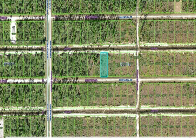 Photo 3 of Land for sale at 710 Portulaca Dr, Indian Lake Estates, FL 33855 | MLS# O6312582 | Listing updated on 2026-02-25