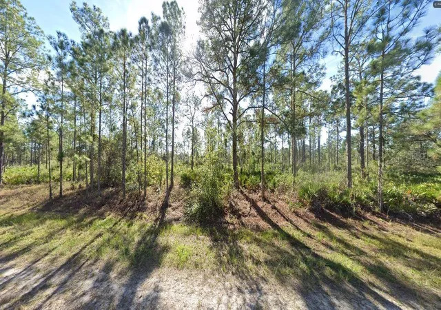 Photo 4 of Land for sale at 709 Alba Dr, Indian Lake Estates, FL 33855 | MLS# O6312585 | Listing updated on 2026-02-25