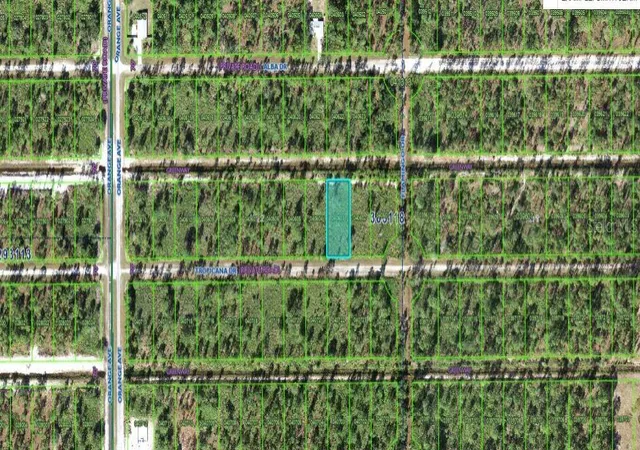 Photo 3 of Land for sale at 706 Tropicana Dr, Indian Lake Estates, FL 33855 | MLS# O6312596 | Listing updated on 2026-02-25