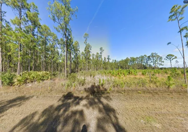Photo 4 of Land for sale at 624 Calendula Dr, Indian Lake Estates, FL 33855 | MLS# O6312597 | Listing updated on 2026-02-25
