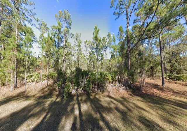 Photo 4 of Land for sale at 604 Tropicana Dr, Indian Lake Estates, FL 33855 | MLS# O6312600 | Listing updated on 2026-02-25
