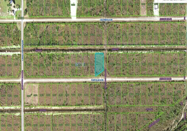 Photo 2 of Land for sale at 502 Portulaca Dr, Indian Lake Estates, FL 33855 | MLS# O6312602 | Listing updated on 2026-02-24