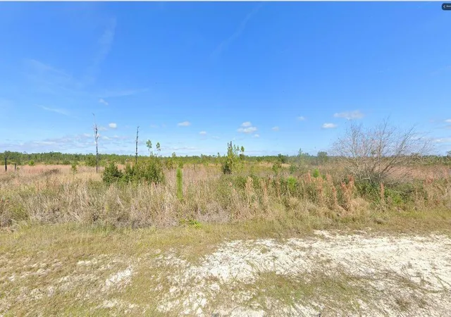 Photo 4 of Land for sale at 502 Portulaca Dr, Indian Lake Estates, FL 33855 | MLS# O6312602 | Listing updated on 2026-02-24