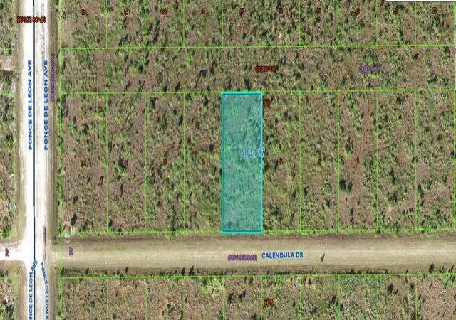 Photo 1 of Land for sale at 316 Calendula Dr, Indian Lake Estates, FL 33855 | MLS# O6312963 | Listing updated on 2026-02-24