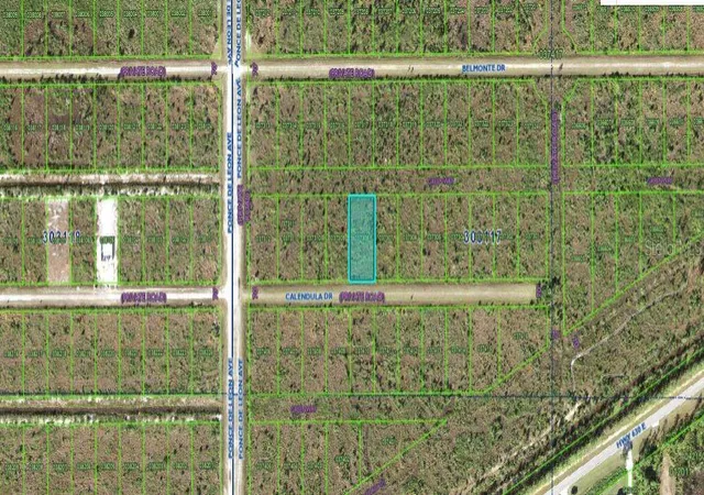 Photo 3 of Land for sale at 316 Calendula Dr, Indian Lake Estates, FL 33855 | MLS# O6312963 | Listing updated on 2026-02-24