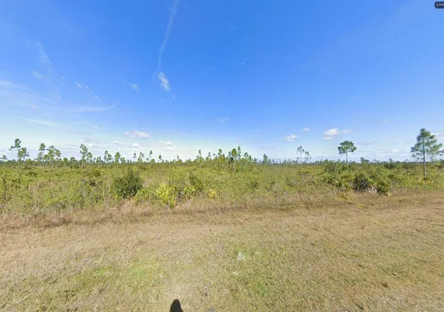 Photo 4 of Land for sale at 316 Calendula Dr, Indian Lake Estates, FL 33855 | MLS# O6312963 | Listing updated on 2026-02-24