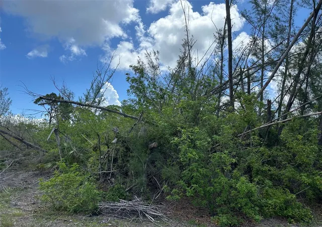 Photo 2 of Land for sale at 10792 Hatchet Cir, Port Charlotte, FL 33981 | MLS# C7510553 | Listing updated on 2026-10-05