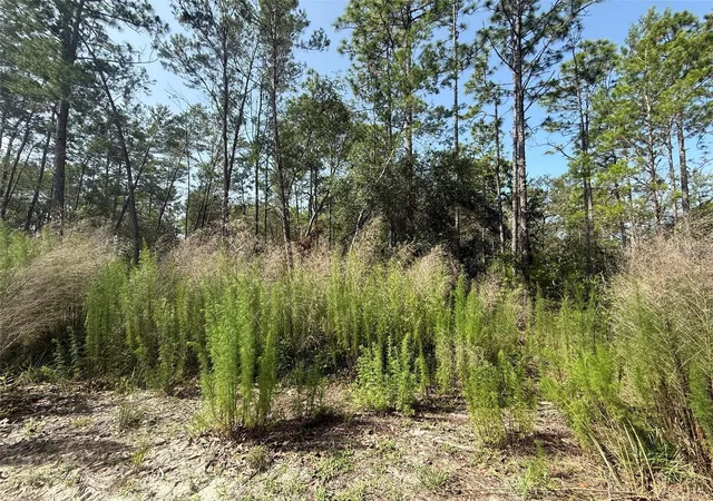 Photo 2 of Land for sale at 101 Washington Ave, Pomona Park, FL 32181 | MLS# OK225244 | Listing updated on 2026-05-11