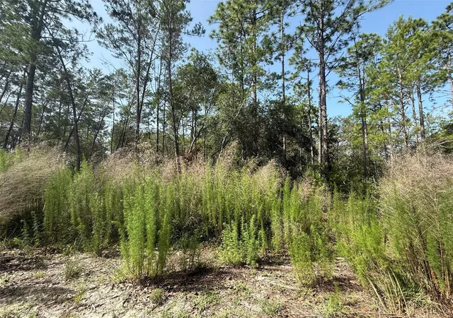 Photo 3 of Land for sale at 101 Washington Ave, Pomona Park, FL 32181 | MLS# OK225244 | Listing updated on 2026-05-11