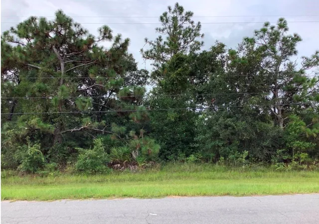 Photo 1 of Land for sale at Oberly Pkwy, Orlando, FL 32833 | MLS# O6314054 | Listing updated on 2026-08-11