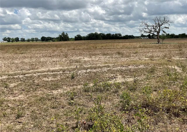 Homes for sale in Bronson, FL | Tbd Ne 46th Land, Bronson, FL 32621 | MLS# OM702760