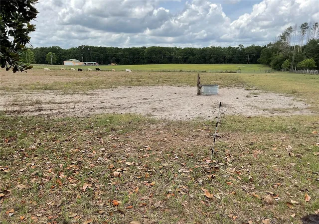 Homes for sale in Bronson, FL | Tbd Ne 46th Land, Bronson, FL 32621 | MLS# OM702760