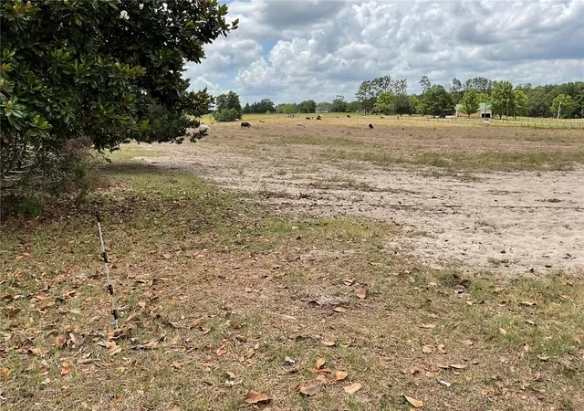 Homes for sale in Bronson, FL | Tbd Ne 46Th Land, Bronson, FL 32621 | MLS# OM702760