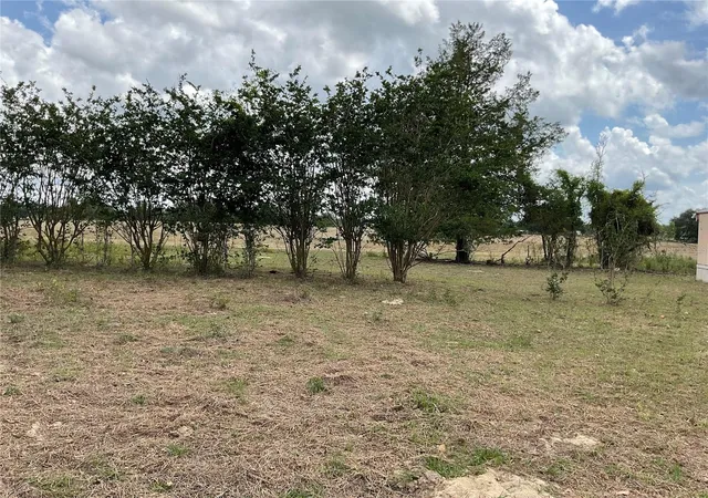 Homes for sale in Bronson, FL | Tbd Ne 46th Land, Bronson, FL 32621 | MLS# OM702760