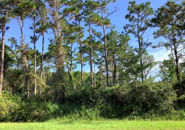 Photo 1 of Land for sale at Quinella St, Orlando, FL 32833 | MLS# O6314276 | Listing updated on 2026-08-11