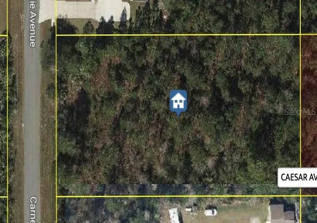 Photo 1 of Land for sale at Carnegie Ave, Orlando, FL 32833 | MLS# O6314284 | Listing updated on 2026-10-29